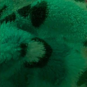 Meet your Posher, Gabrielle